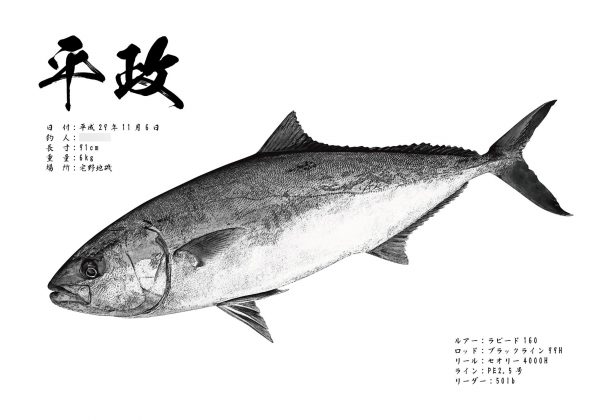 ヒラマサ魚拓