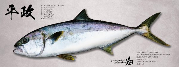 ヒラマサデジタル魚拓