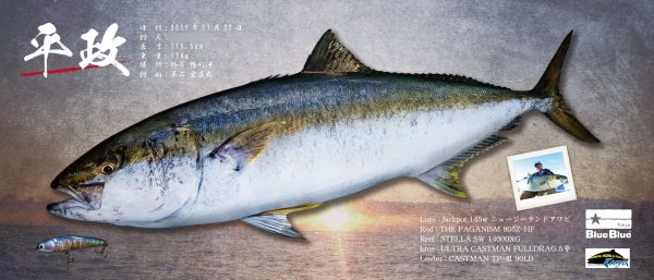 ヒラマサ魚拓