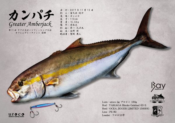 カンパチ魚拓