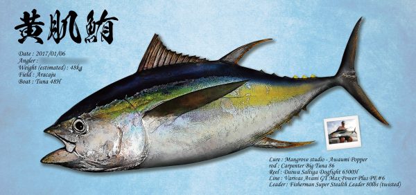 マグロ魚拓