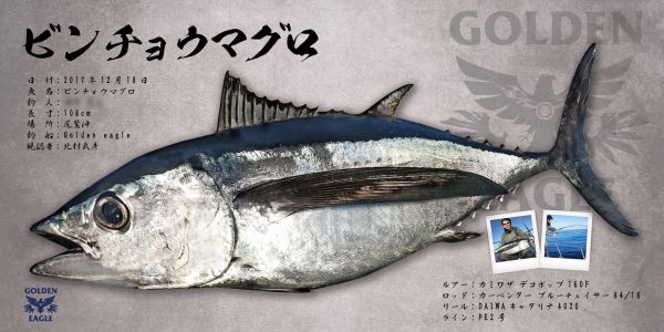 ビンチョウマグロ魚拓