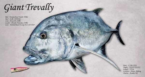 GT魚拓