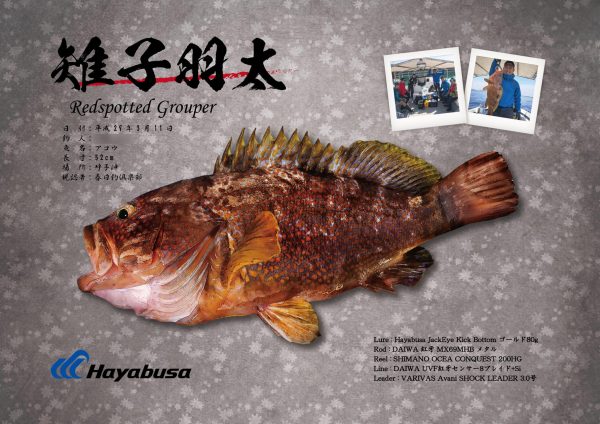 ハタ-魚拓