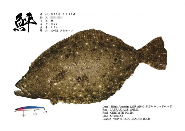 鮃魚拓