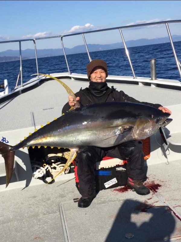 キハダマグロ膝置き