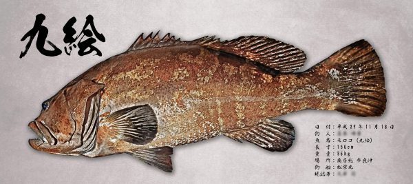 完成魚拓