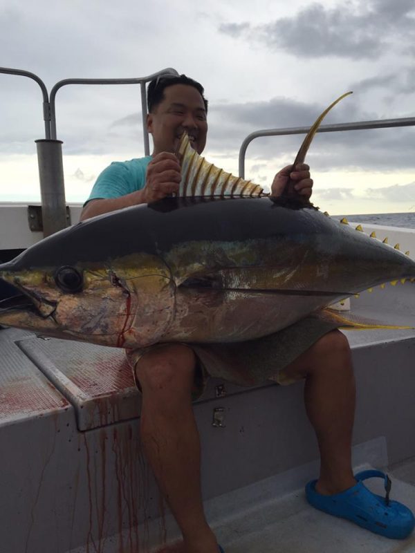 キハダマグロ元写真