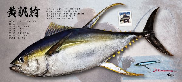 キハダマグロ魚拓