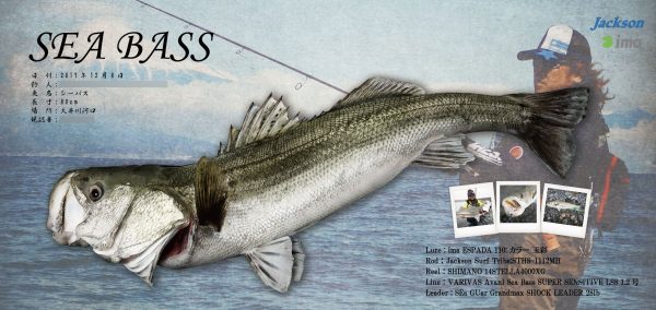 シーバス魚拓