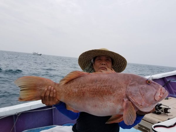 スジアラ