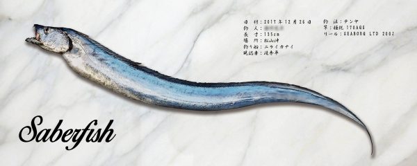 太刀魚魚拓