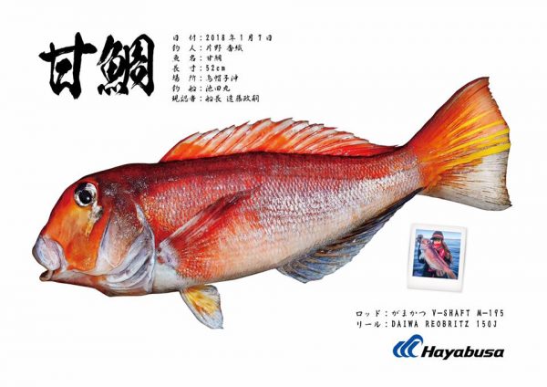 甘鯛魚拓