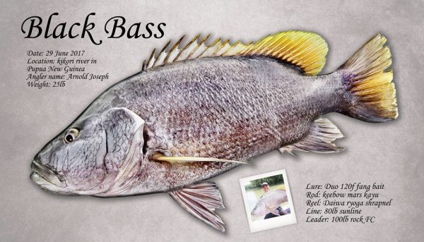 ブラックバス魚拓