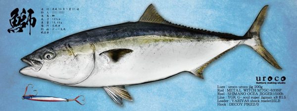鰤魚拓