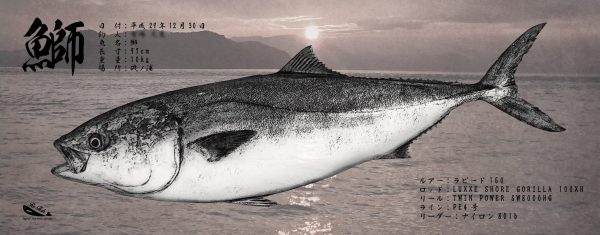 鰤魚拓