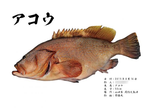 カラー魚拓