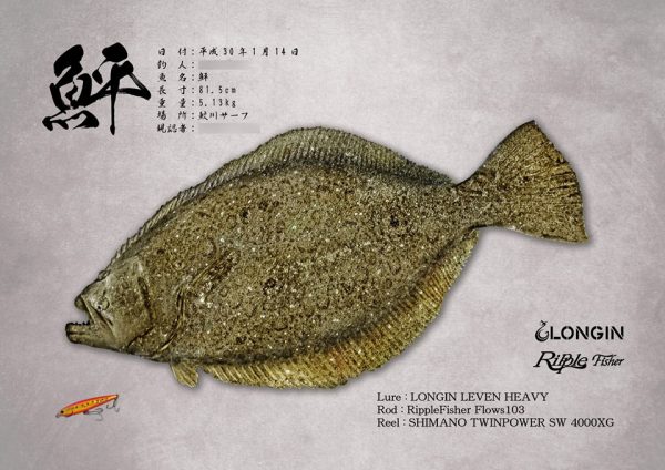 ヒラメ魚拓