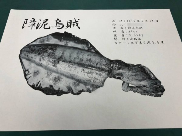 烏賊魚拓