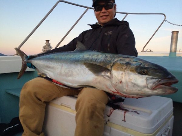 kingfish