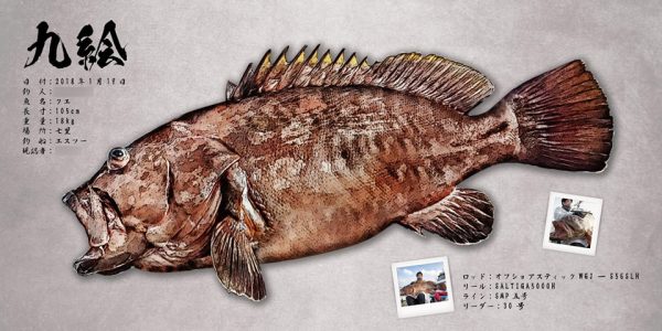 クエ魚拓