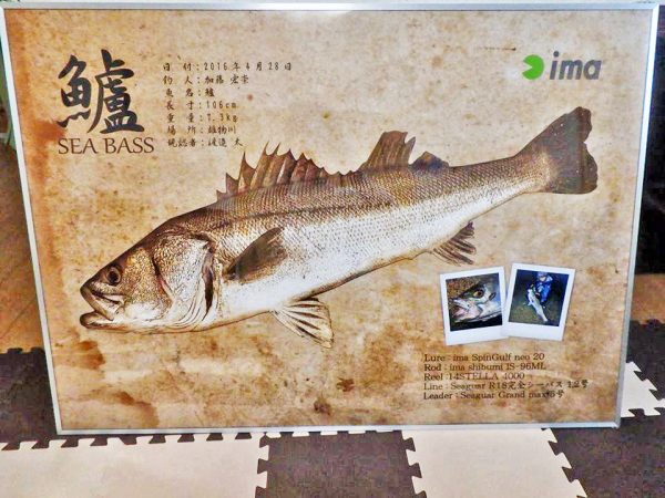 シーバス魚拓