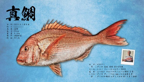 鯛魚拓