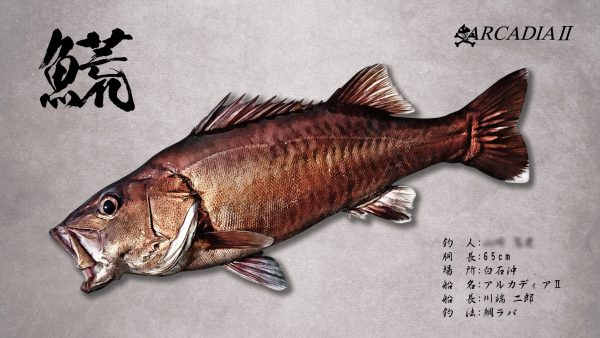 アラ魚拓