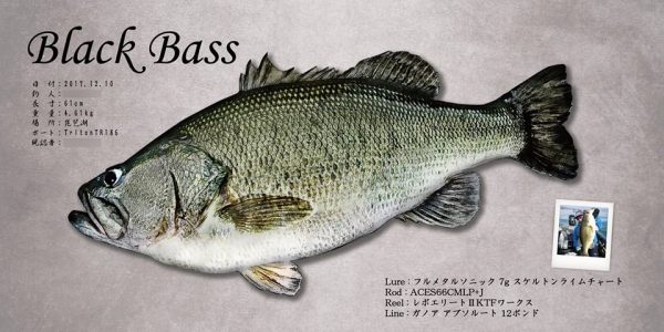 ブラックバス魚拓