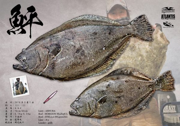 鮃魚拓