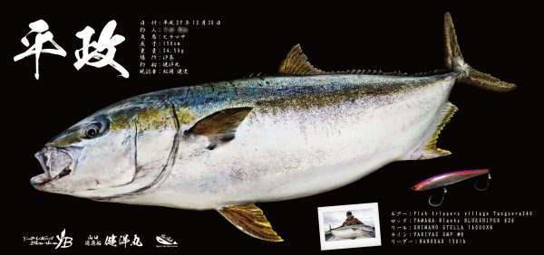 ヒラマサ魚拓