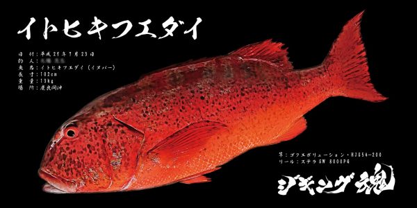 イトヒキフエダイ