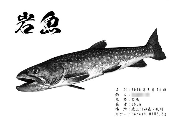 岩魚魚拓