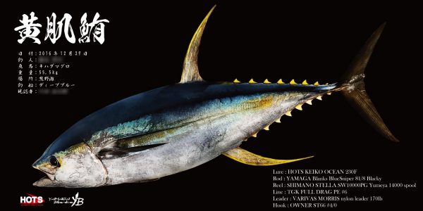キハダマグロ魚拓