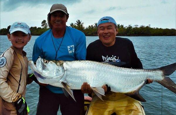 tarpon