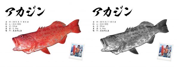 デジタル魚拓比較