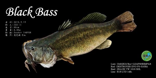 ブラックバス魚拓