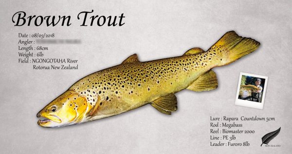 browntrout魚拓
