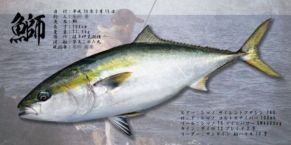 鰤魚拓