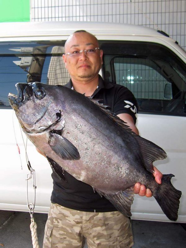 銀ワサ