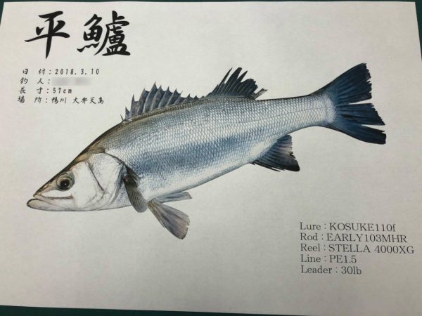 平鱸魚拓
