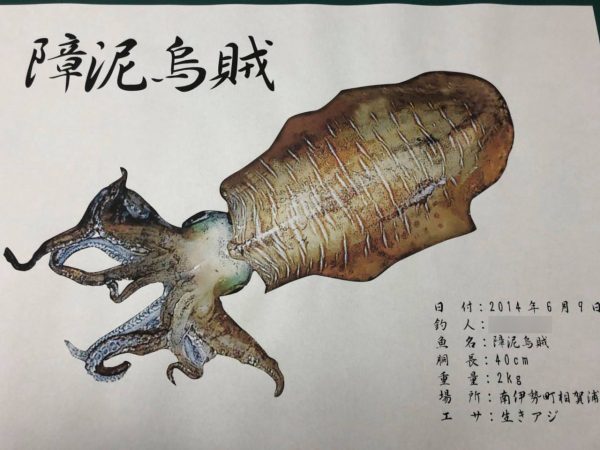 イカ拓
