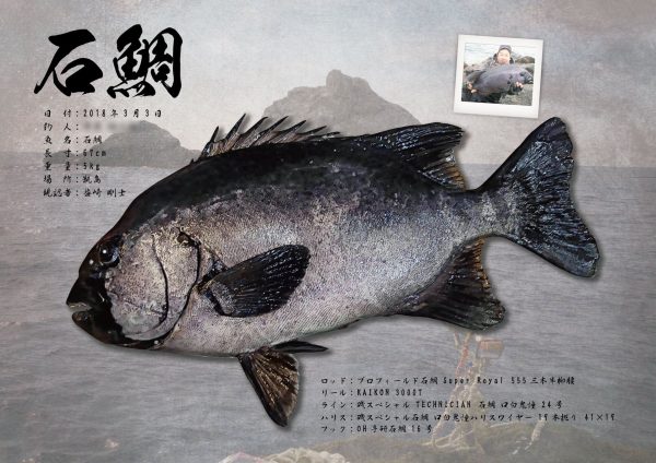 石鯛魚拓