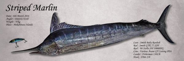 カジキ魚拓