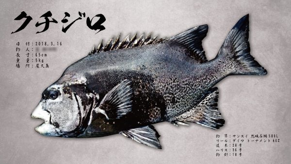 クチジロ魚拓