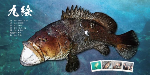 クエ-デジタル魚拓