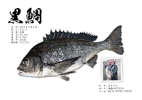 黒鯛-魚拓