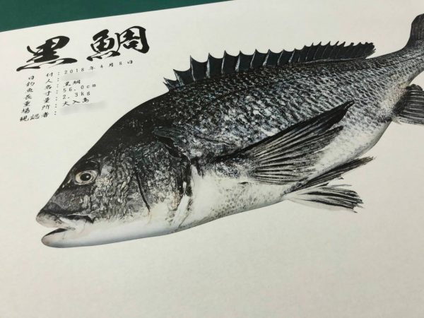 黒鯛-和紙