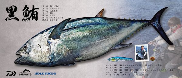 黒鮪魚拓
