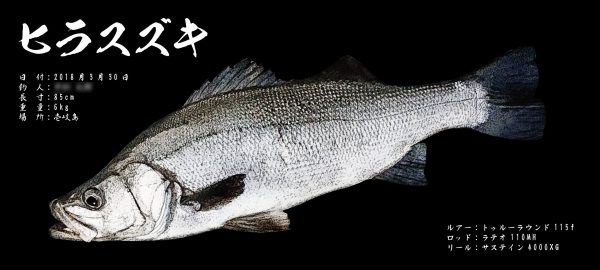 鱸魚拓